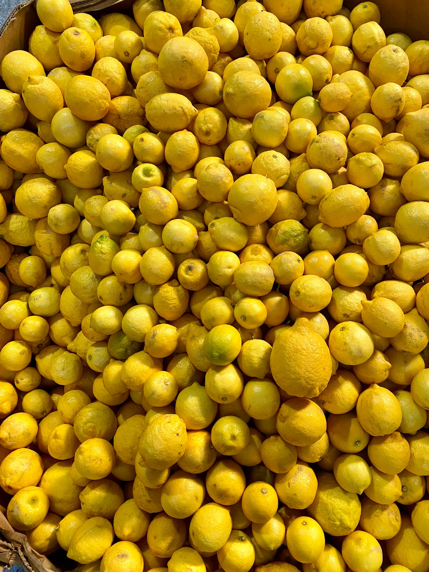 Limoncello